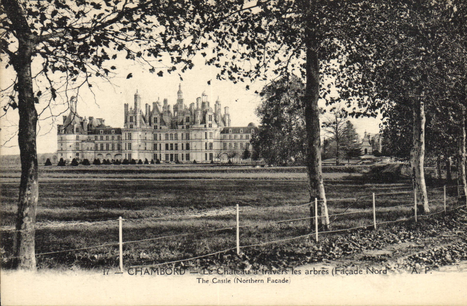 CPA Chambord Le Chateau A Travers Les Arbres Facade Nord