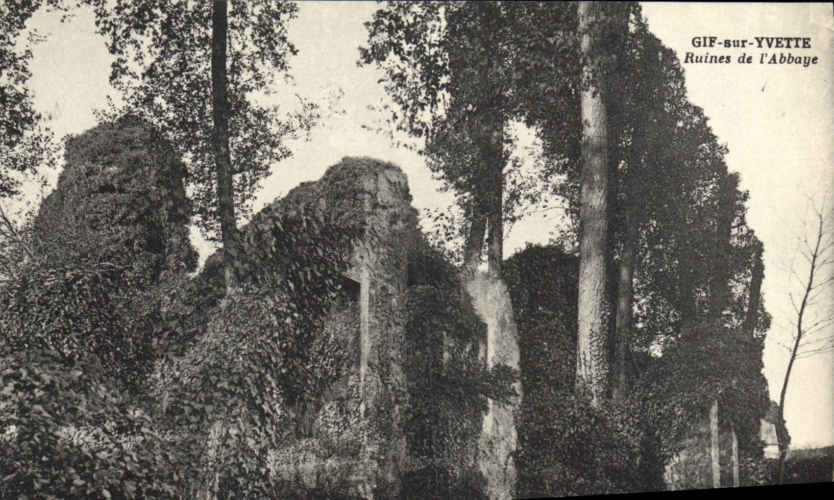 VINTAGE POSTCARD GIF On Vvette Ruins of the Abbey