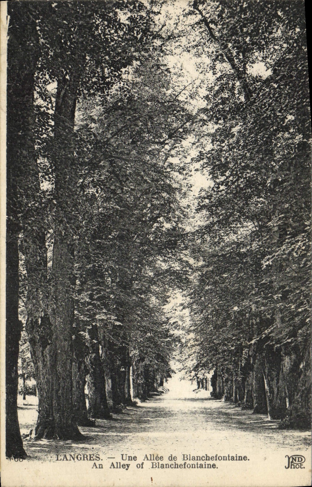 CPA Langres Une Allee de Blanchefontaine