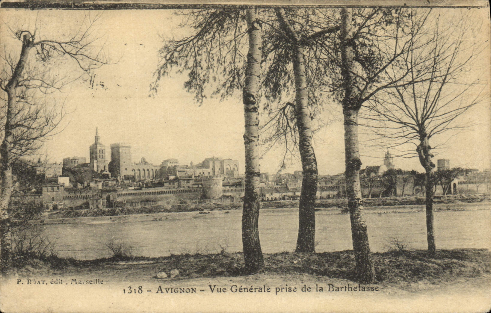 Opinión de Avignon de la POSTAL de la VENDIMIA tomada de Barthetasse