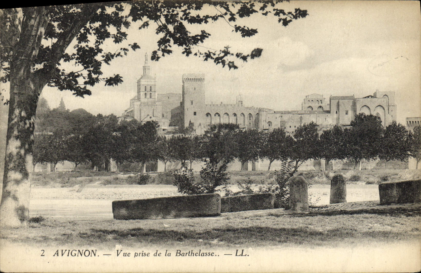 POSTAL Avignon de la VENDIMIA vista de Bathelasse