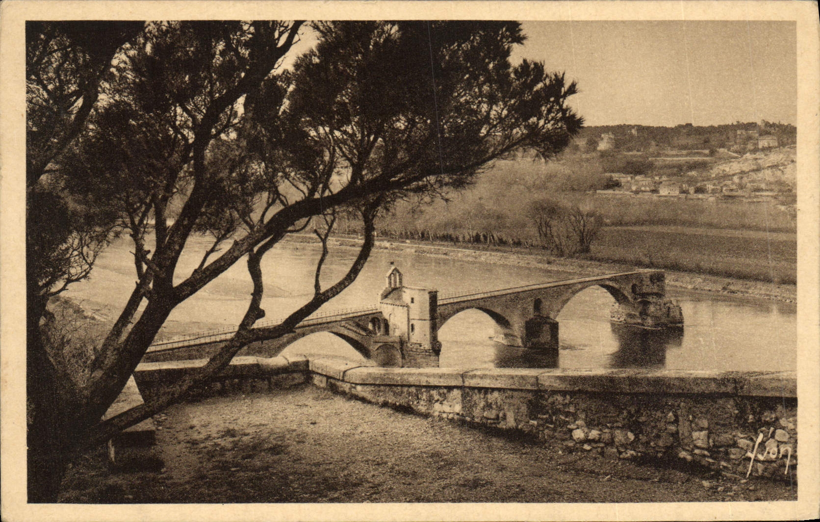 POSTAL Avignon de la VENDIMIA el puente santo Benezet visto de la roca de los Dom