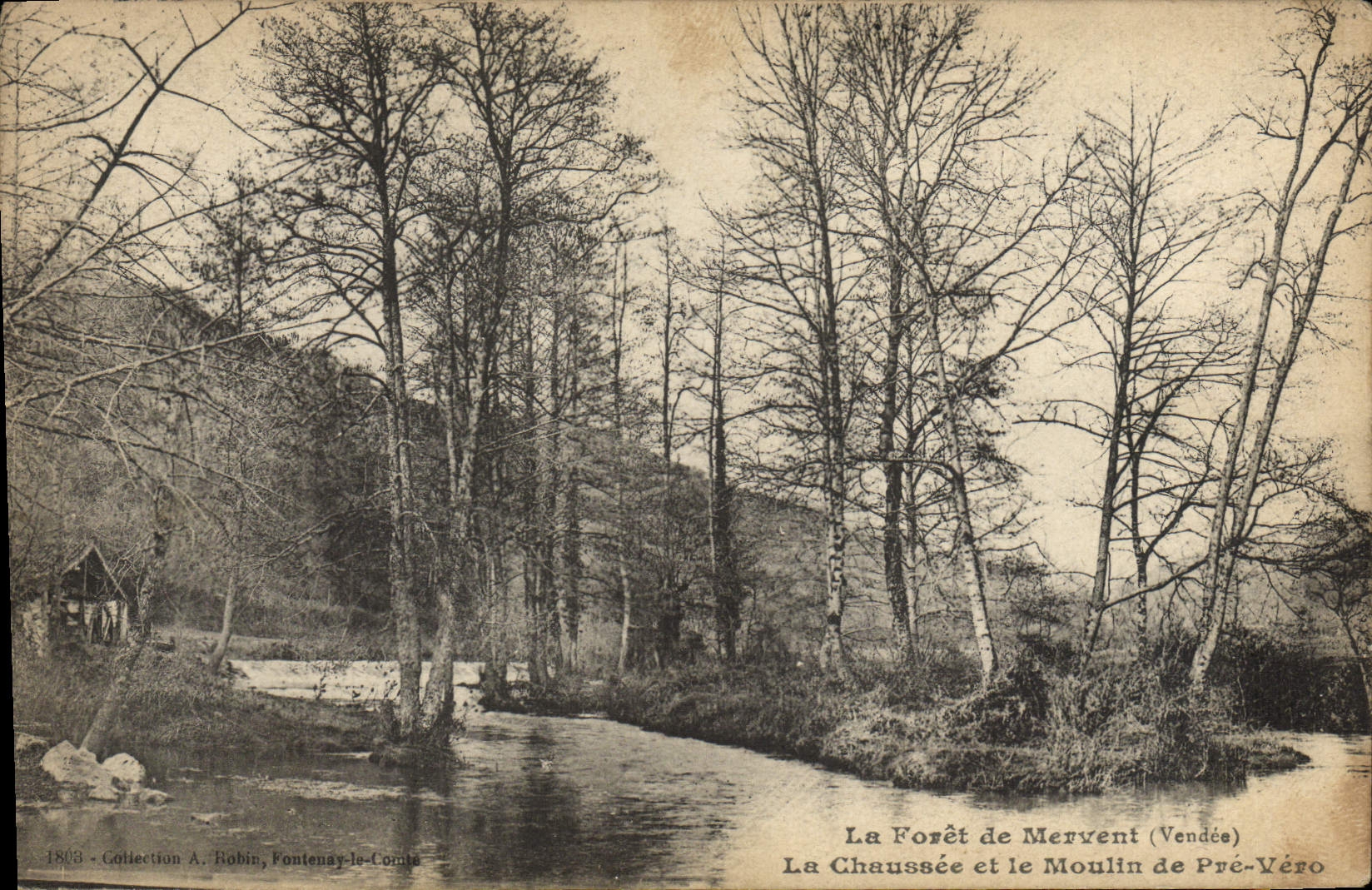 CPA La Foret de Mervent La Chaussee et le Moulin de Pre Vero