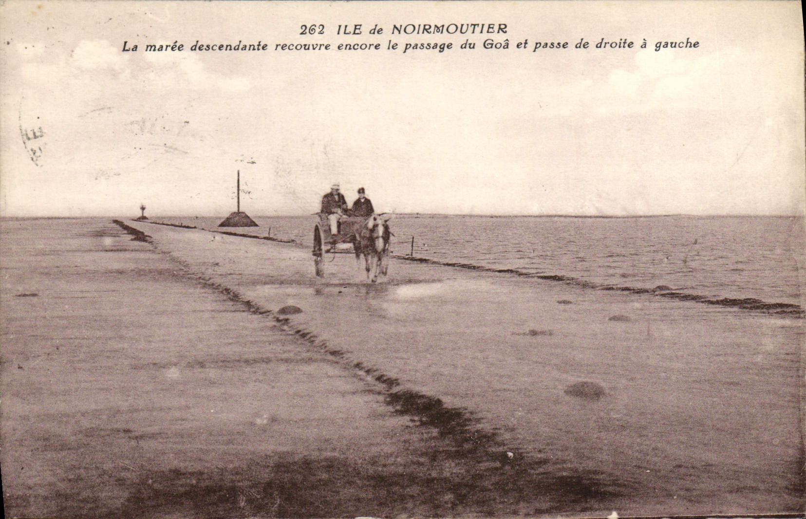 CPA Ile de Noirmoutier La Maree Descendante