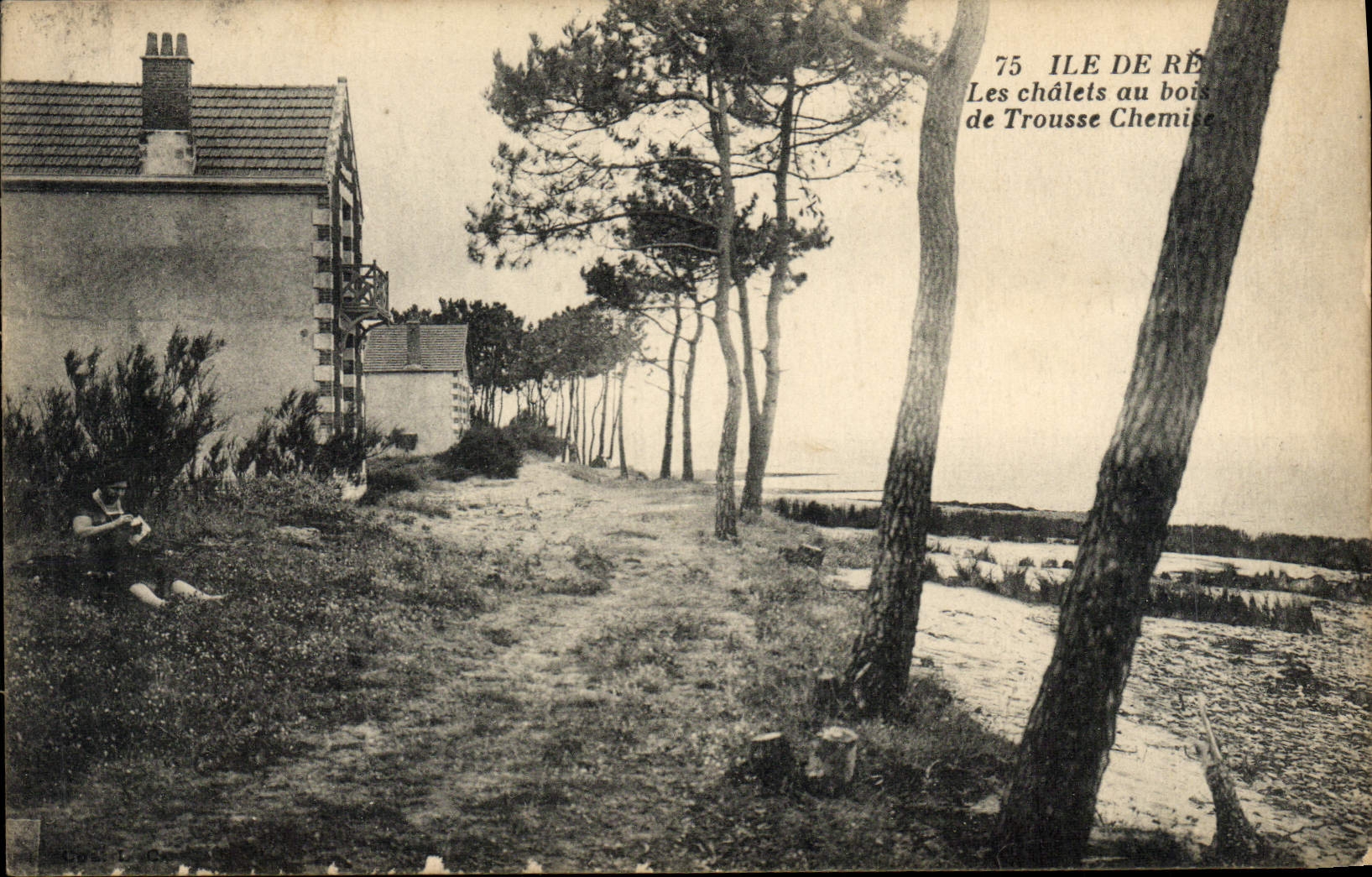 VINTAGE POSTCARD the Ile de Ré the country cottages with the wood of Case Lines