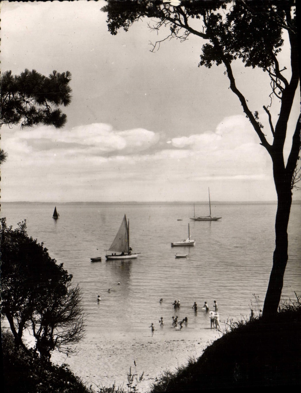 CPM L'Ile de Noirmoutier Vue sur la mer prise du bois de la Chaise