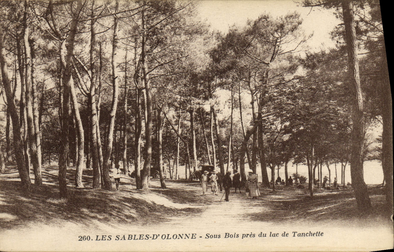 POSTAL de la VENDIMIA Sables d'Olonne debajo de la madera cerca del lago Tanchette