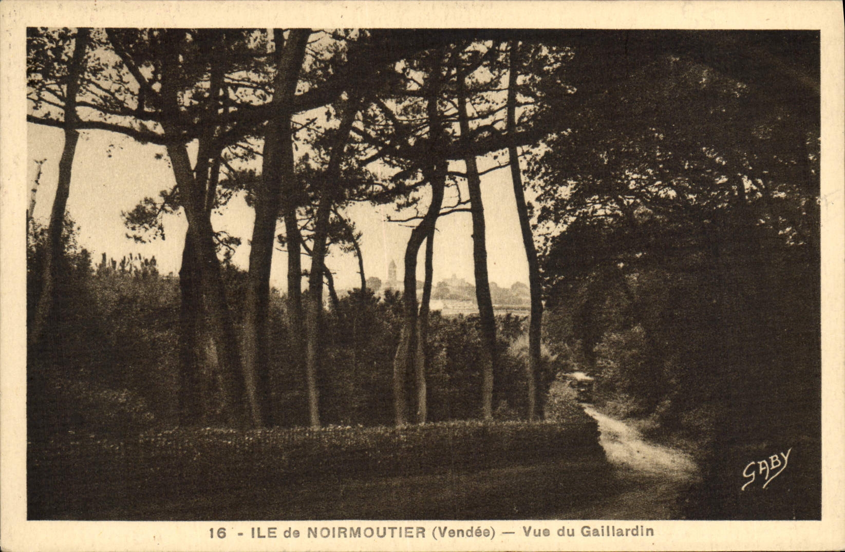 CPA Ile Noirmoutier Vue Du Gaillardin