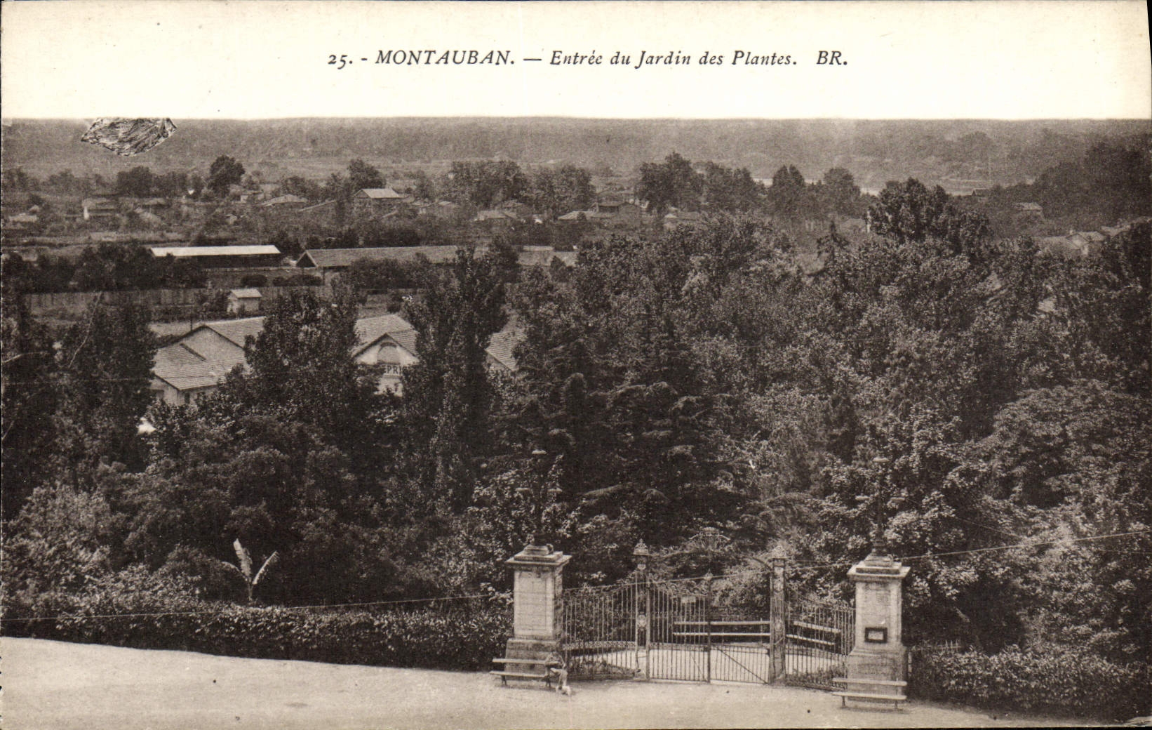VINTAGE POSTCARD Montauban Entered of the Botanical garden