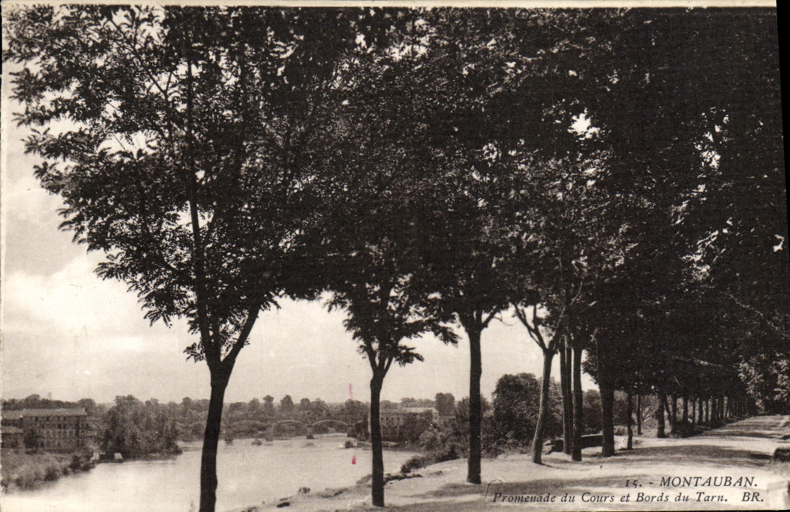 VINTAGE POSTCARD Montauban Walk of the Course and Edges of the Tarn