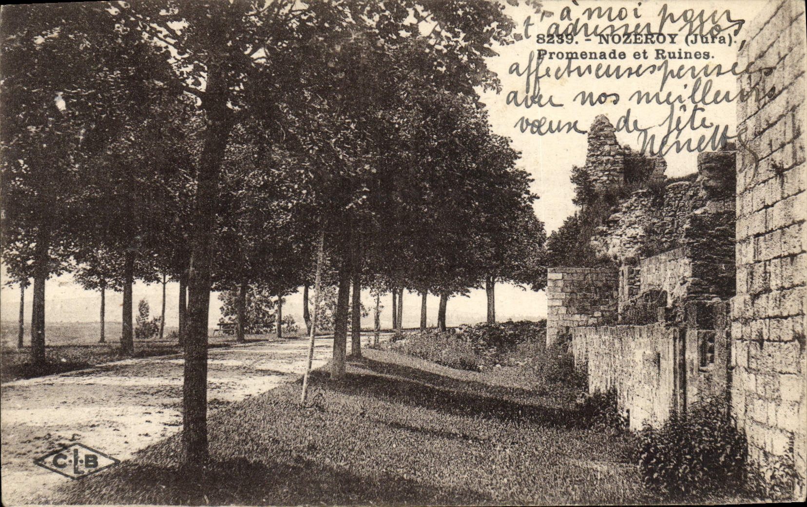 VINTAGE POSTCARD Nozeroy Walk and Ruines