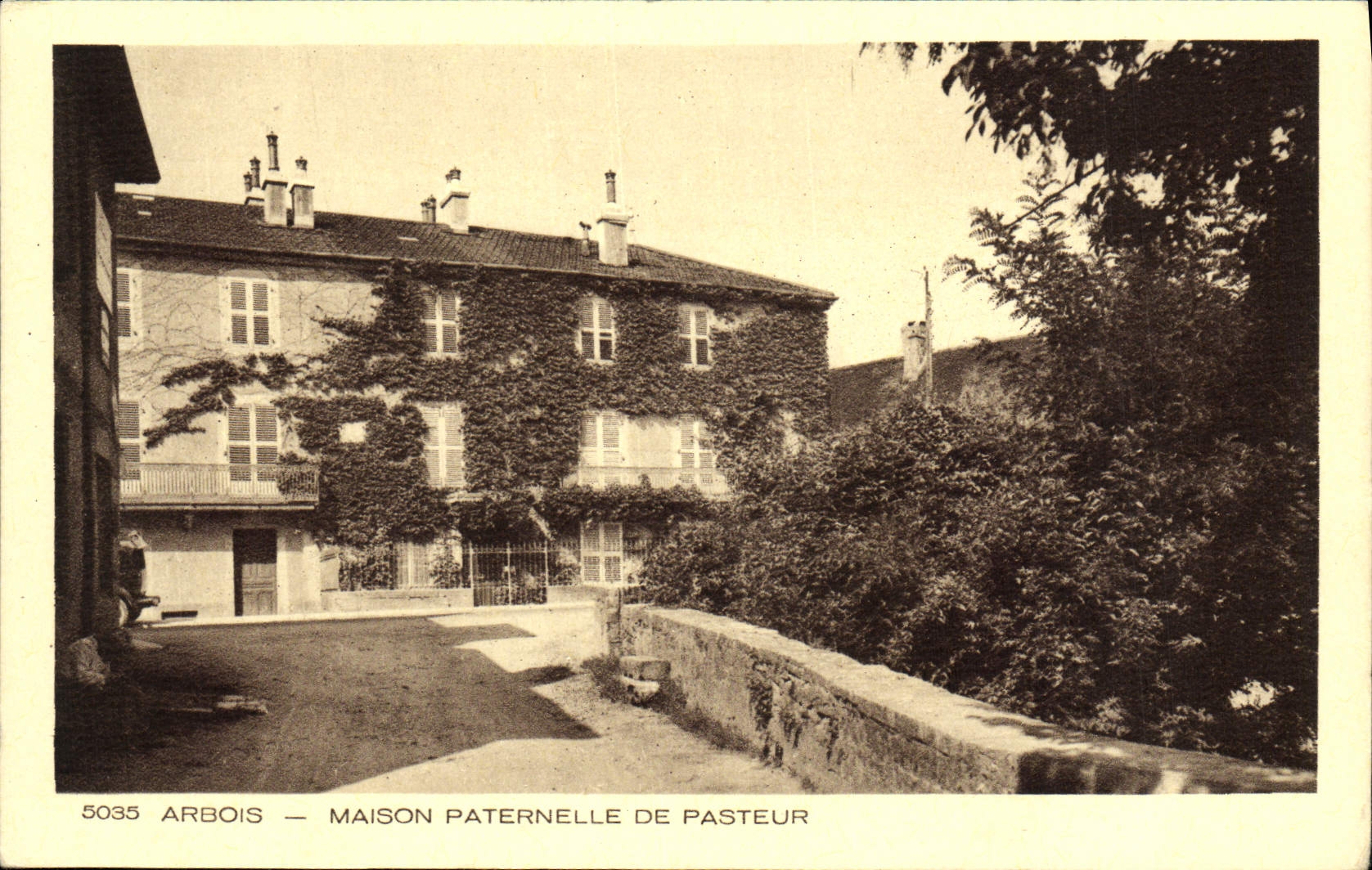 VINTAGE POSTCARD Alpine laburnum Paternal House Of Pasteur