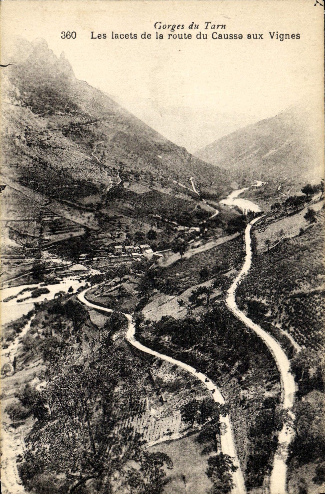 CPA Gorges Du Tarn Les Lacets de la Route du Causse aux Vignes