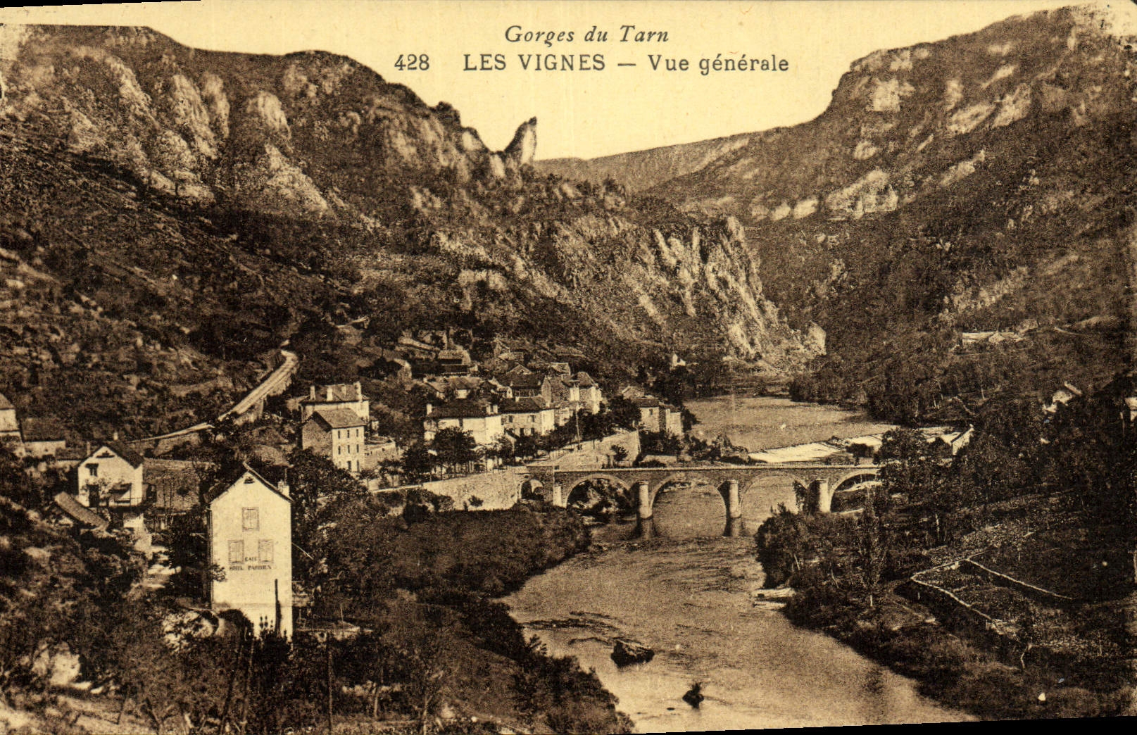 CPA Gorges Du Tarn Les Vignes Vue Generale