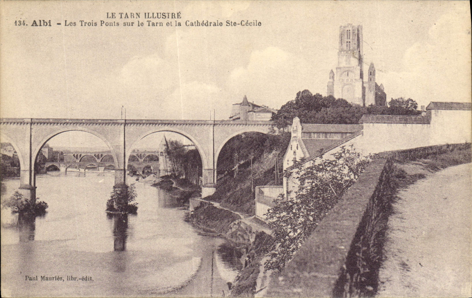 POSTAL Albi de la VENDIMIA tres puentes en el Tarn y la catedral co. Cecile