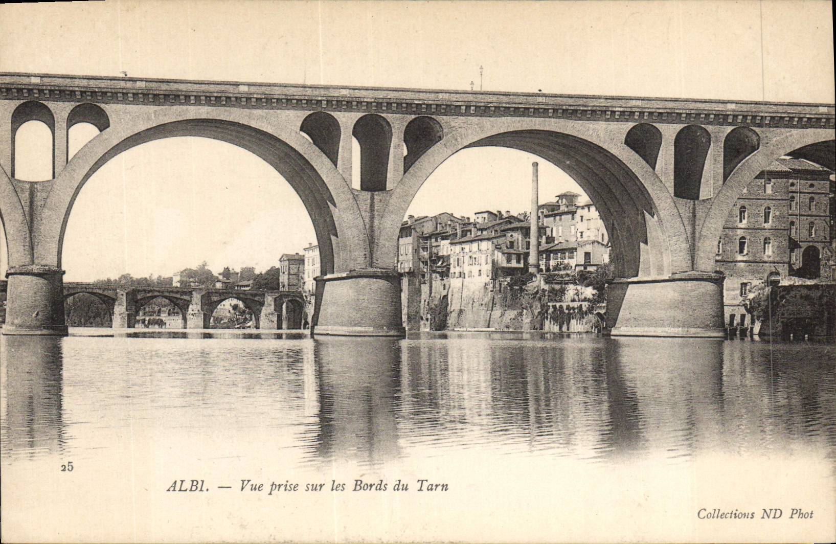 POSTAL Albi de la VENDIMIA vista en los bordes del Tarn