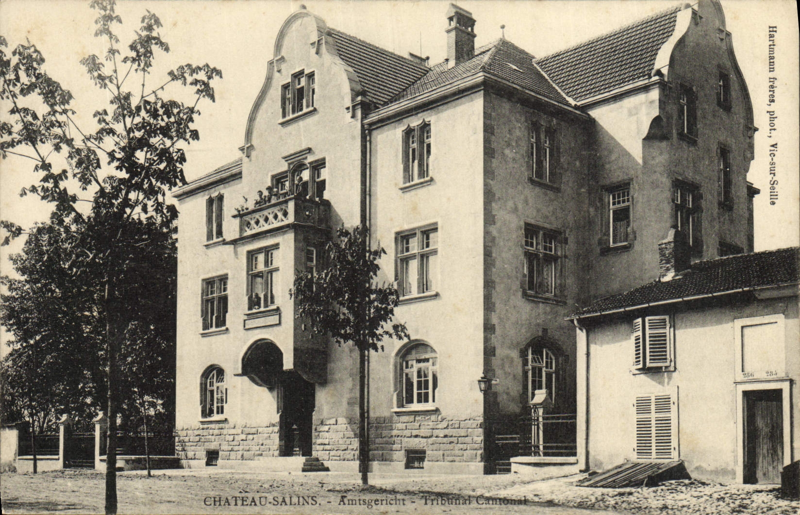 VINTAGE POSTCARD Castle Saline cantonal Court