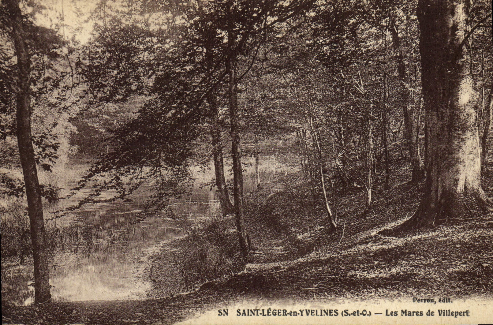 VINTAGE POSTCARD Holy Light In Yvelines the Ponds De Villepert