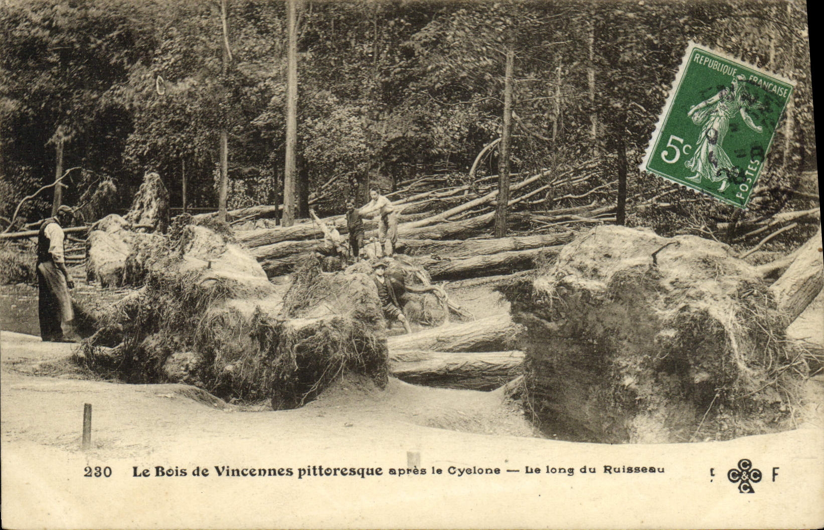 VINTAGE POSTCARD Picturesque Wood De Vincennes After the Cyclone Along the brook