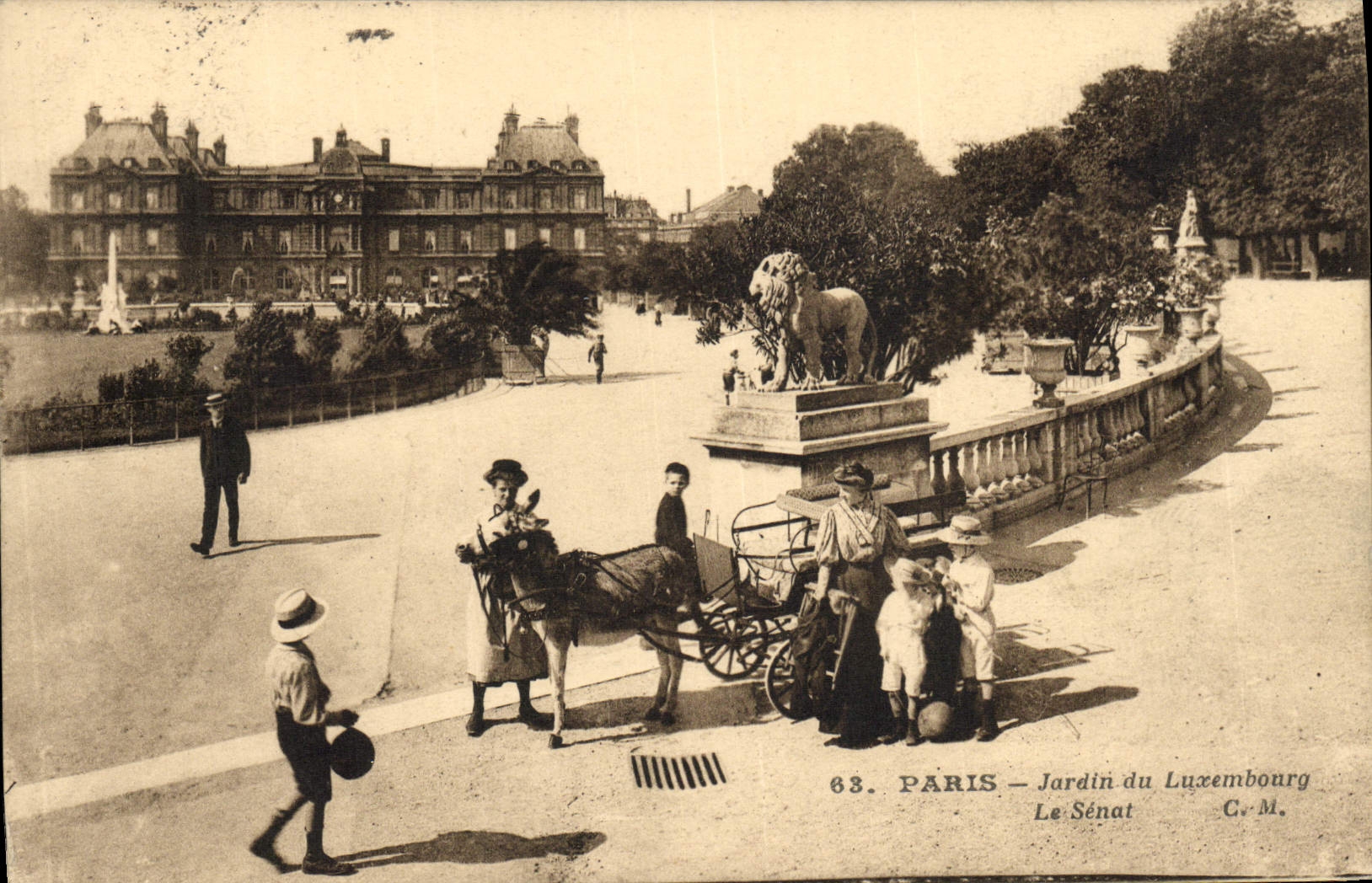 CPA Paris Jardin Du Luxembourg Le Senat Enfants Ane 