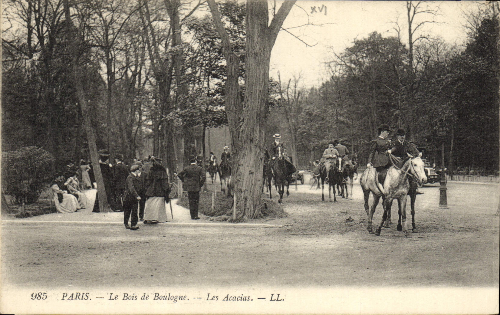 CPA Paris Le Bois De Bouloge Les Acacias Cheval Chevaux Cavaliers 