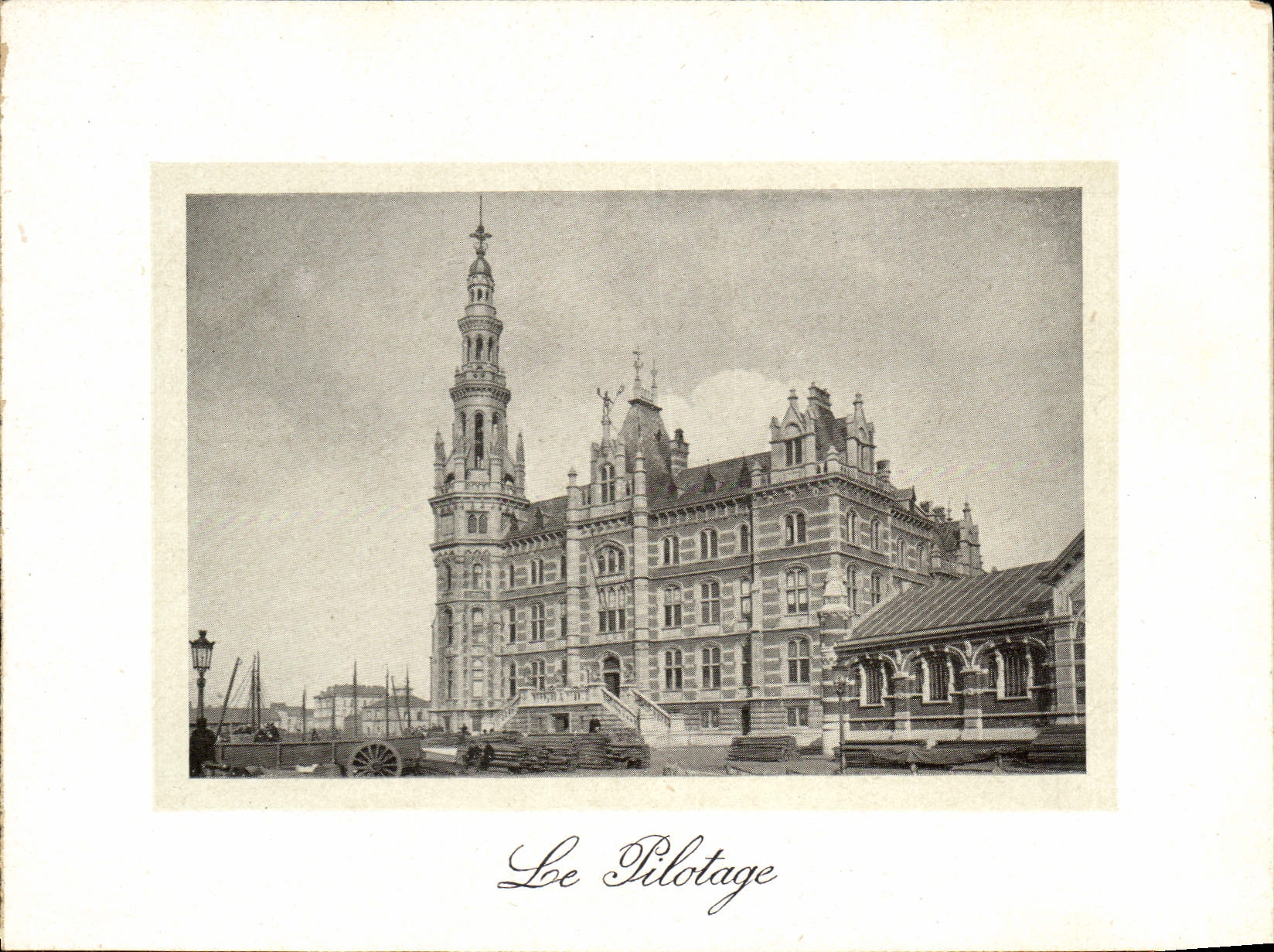 CPA Anvers Le Pilotage