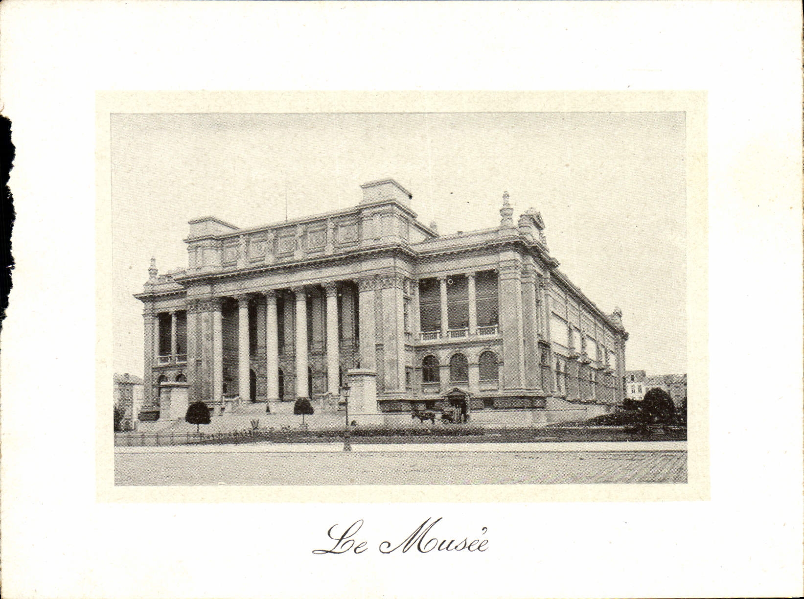 POSTAL Amberes de la VENDIMIA el museo