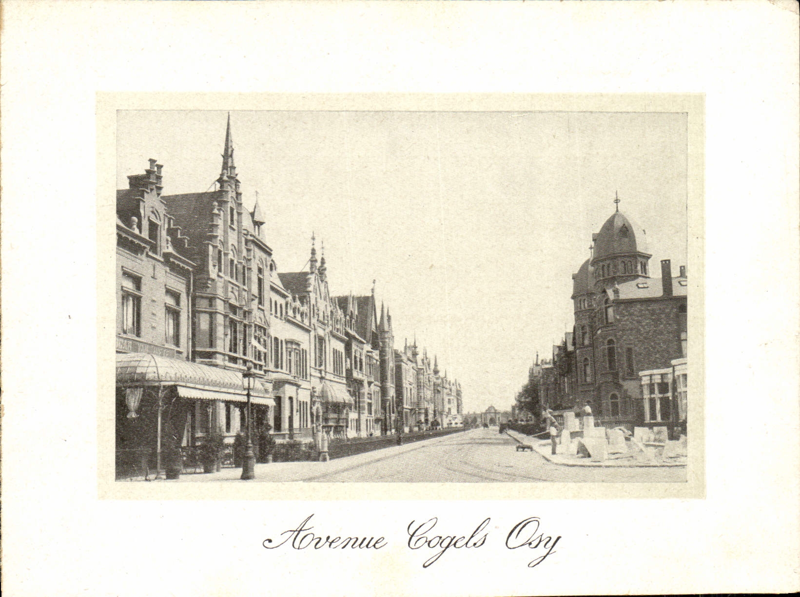 POSTAL de la VENDIMIA que ocurrió Cogels Osy