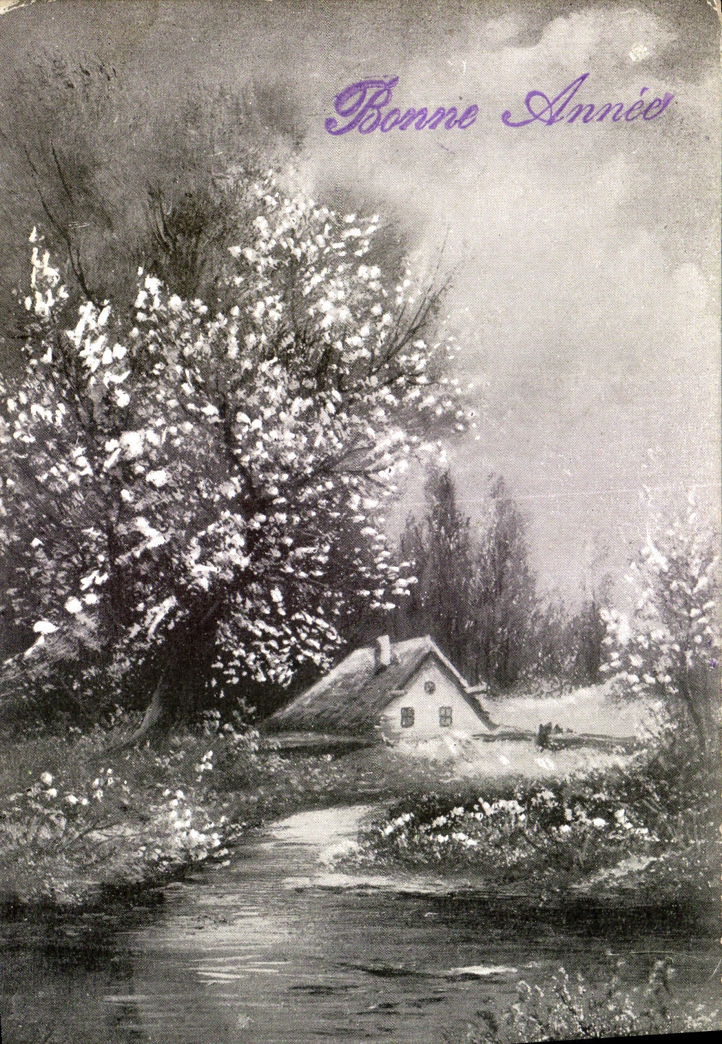 CPA Fantaisie Bonne annee