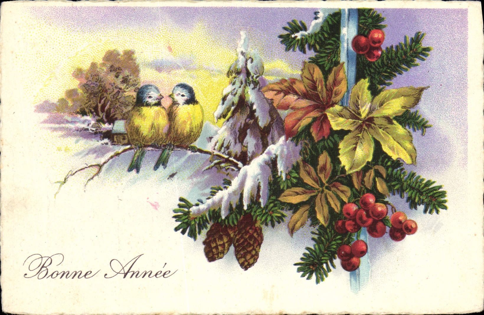 CPA Fantaisie Bonne annee Oiseaux 