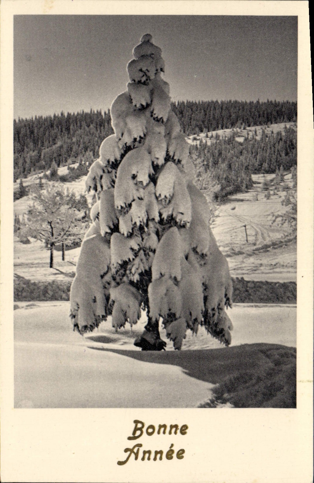 MODERN CARD Fantasy Happy New Year Fir tree