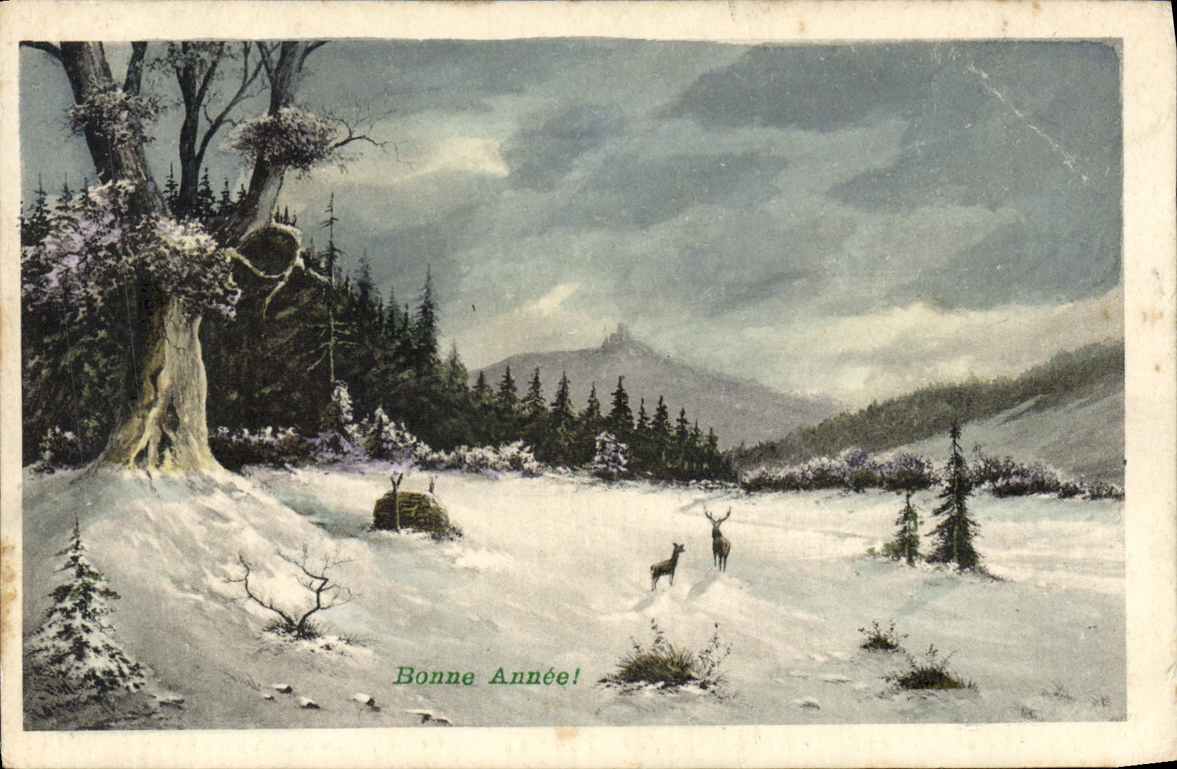 CPA Fantaisie Bonne annee