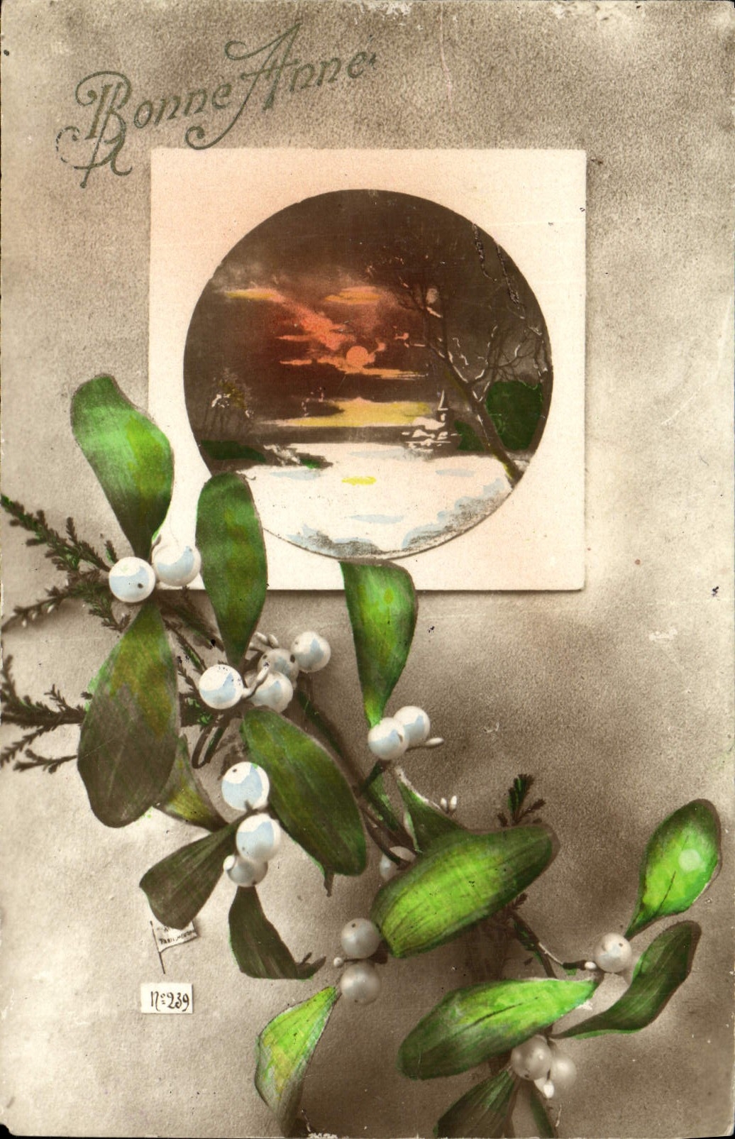 CPA Fantaisie Fleurs Gui