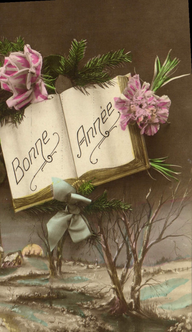 CPA Fantaisie Bonne annee