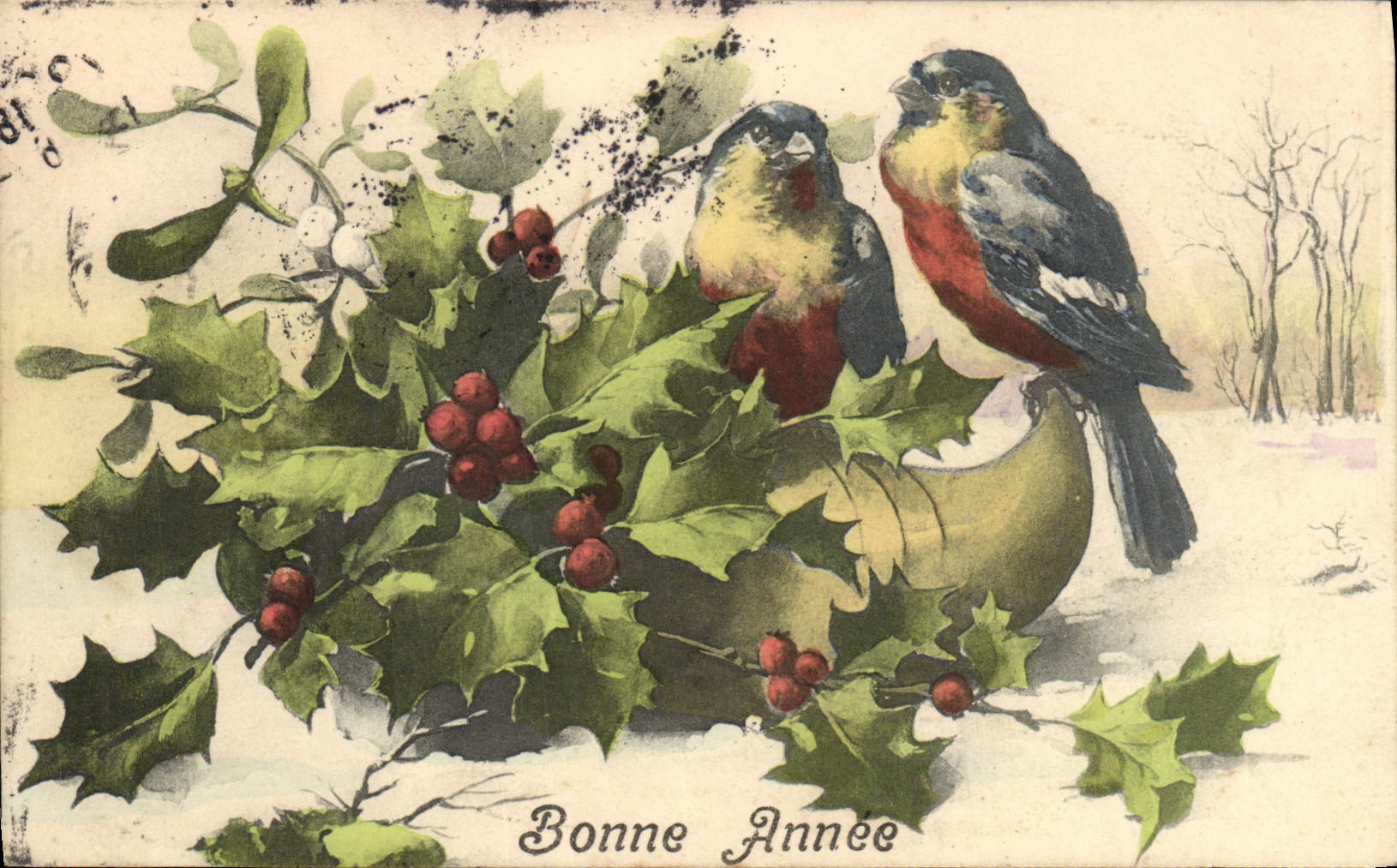 VINTAGE POSTCARD Fantasy Birds Houx Shoe