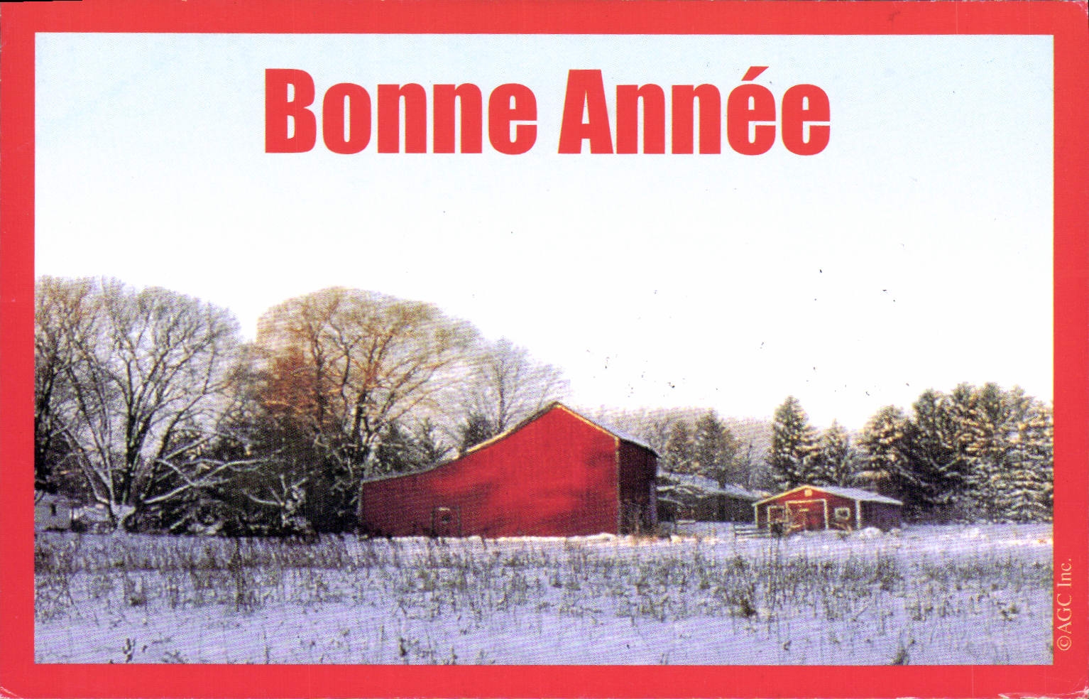 CPM Fantaisie Bonne annee