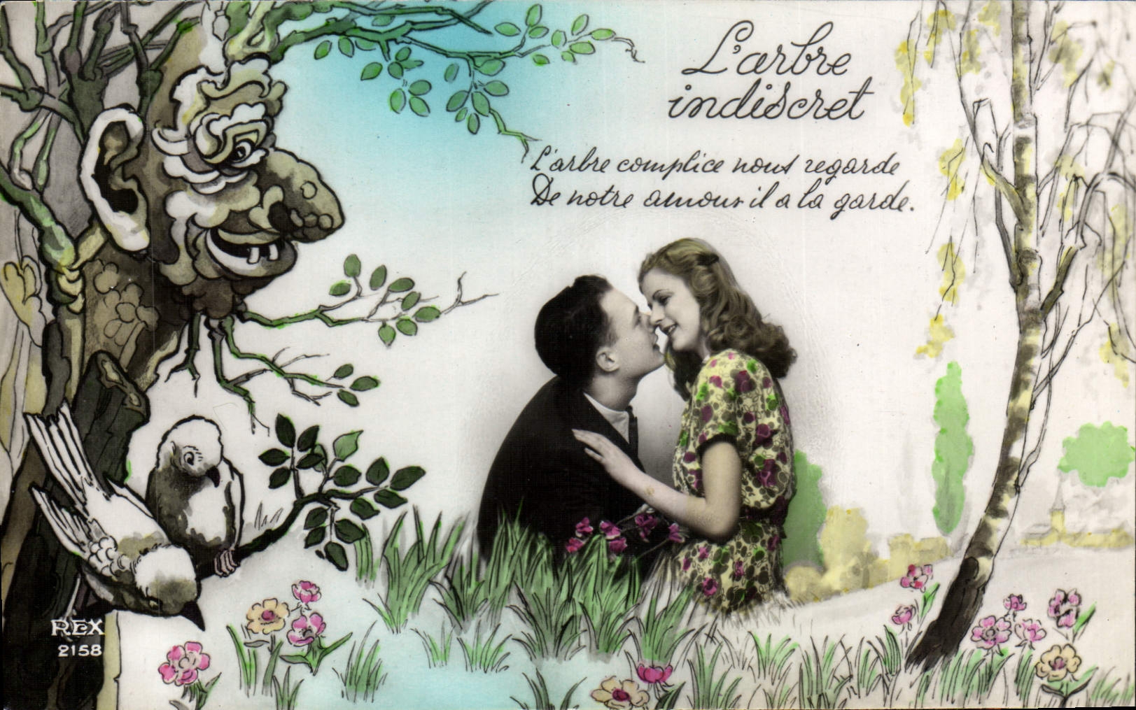 VINTAGE POSTCARD Fantasy Woman the indiscreet tree Bird