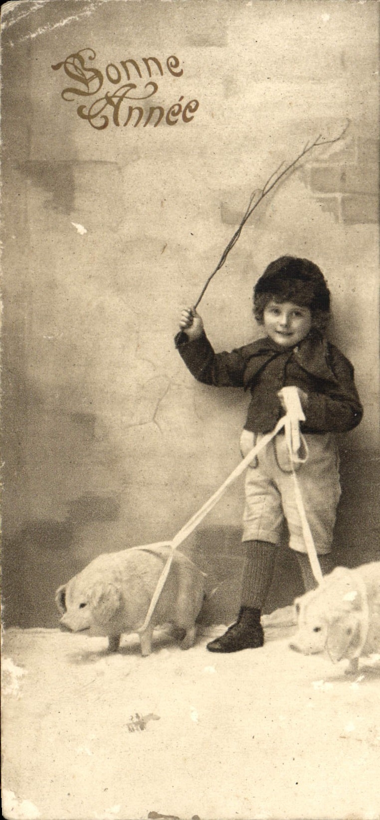 VINTAGE POSTCARD Fantasy Child Pigs