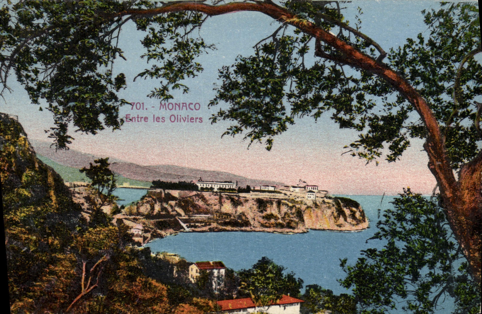 CPA Monaco Entre les Oliviers