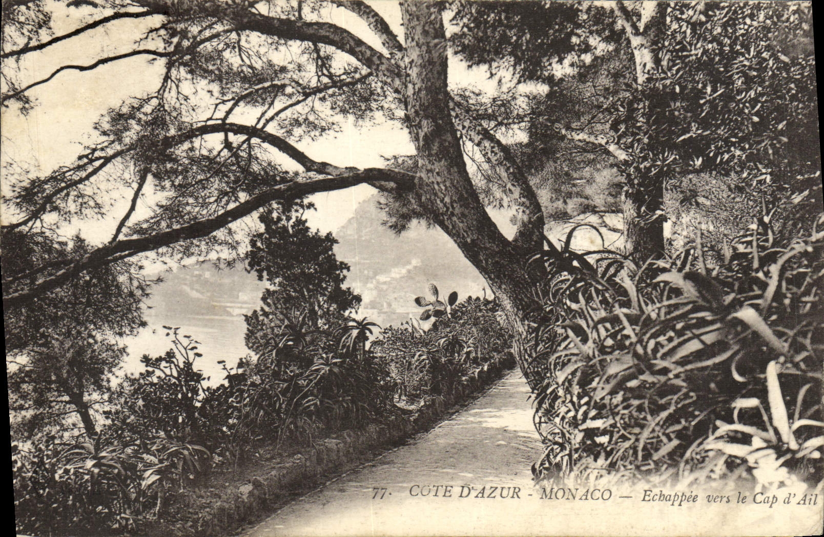 CPA Montre Carlo Echappee vers le Cap d'Ail