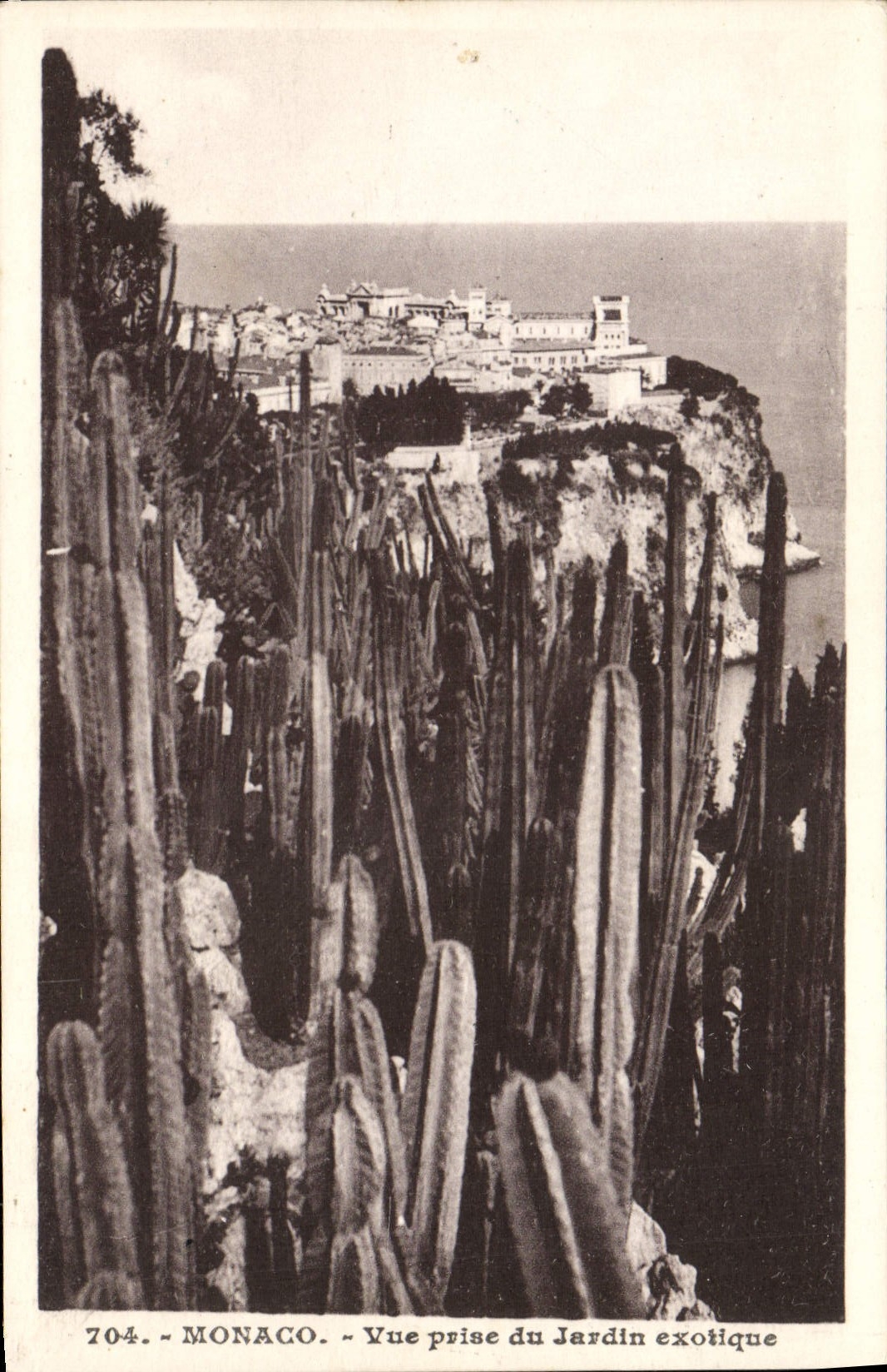 VINTAGE POSTCARD Monaco Seen from of the exotic garden Cactus