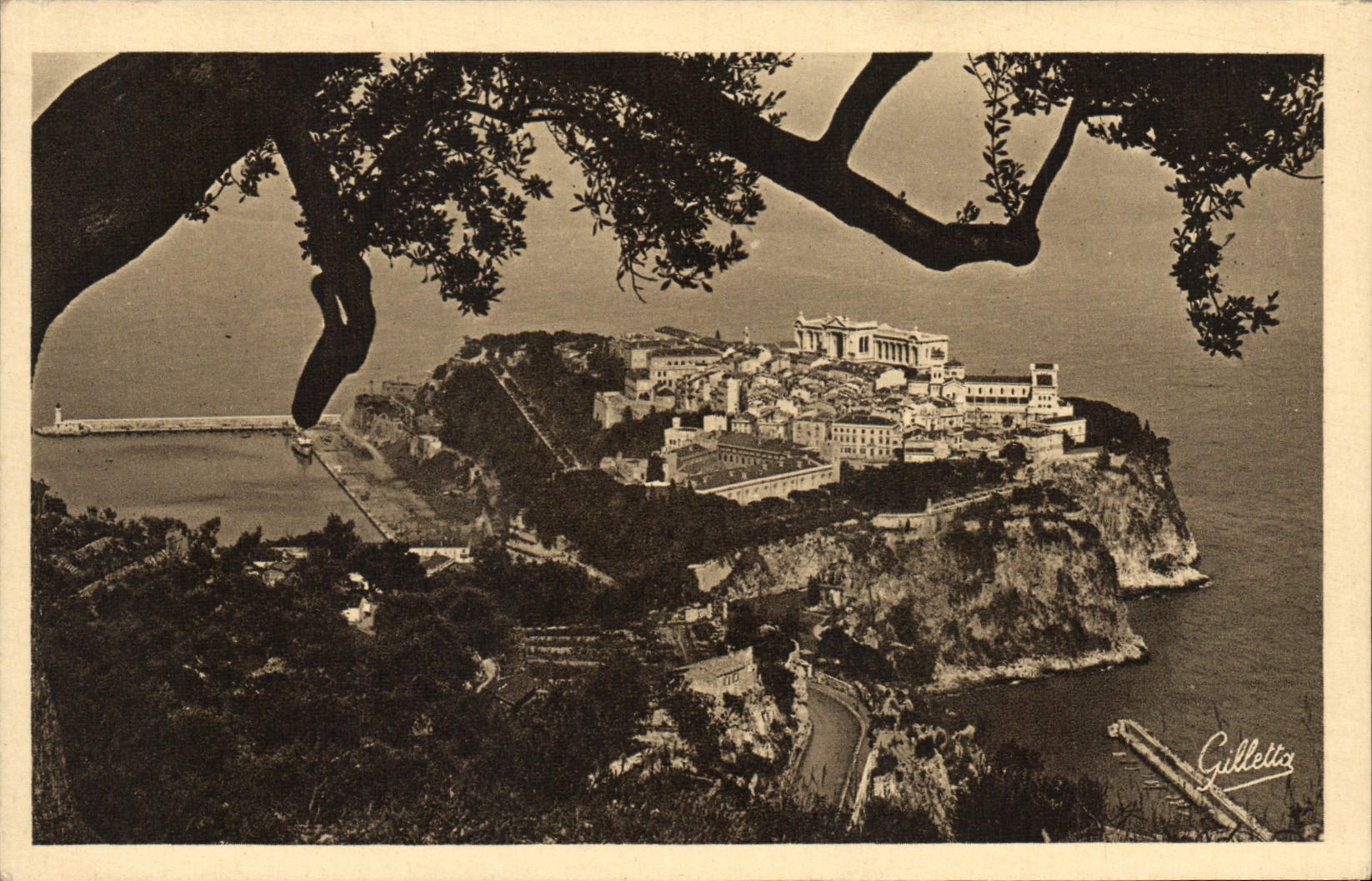 CPA Monaco Le rocher entre les arbres