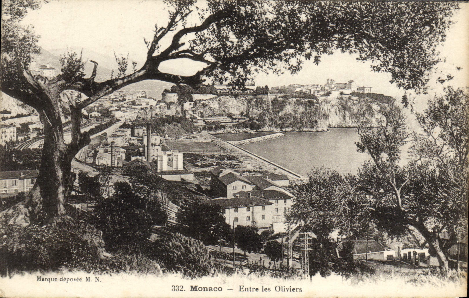CPA Monaco Entre les Oliviers