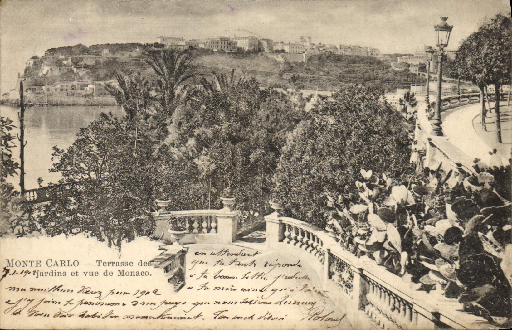 CPA Monte Carlo Terrasse des jardins et vue sur Monaco