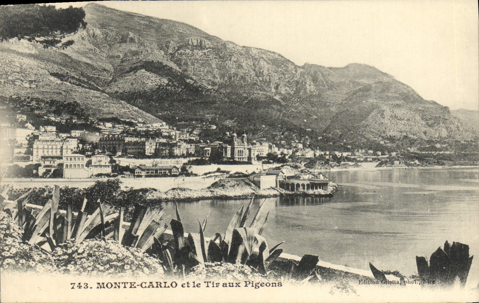 CPA Monte Carlo et le Tir Aux Pigeons