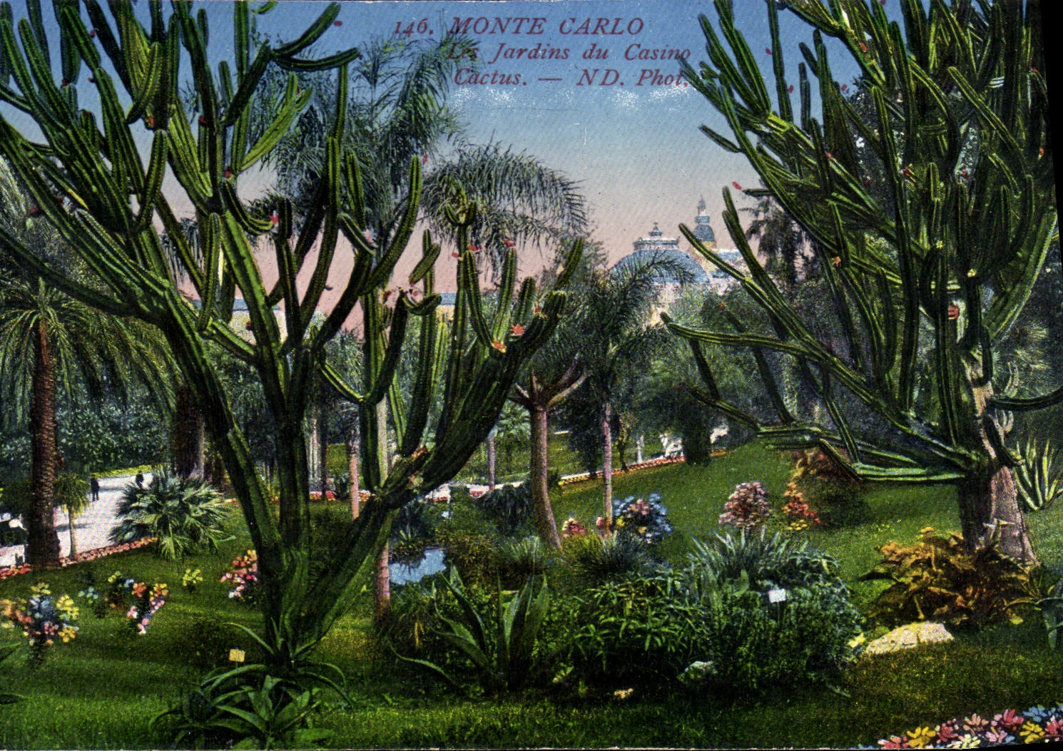 CPA Monte Carlo Jardins du Casino Cactus