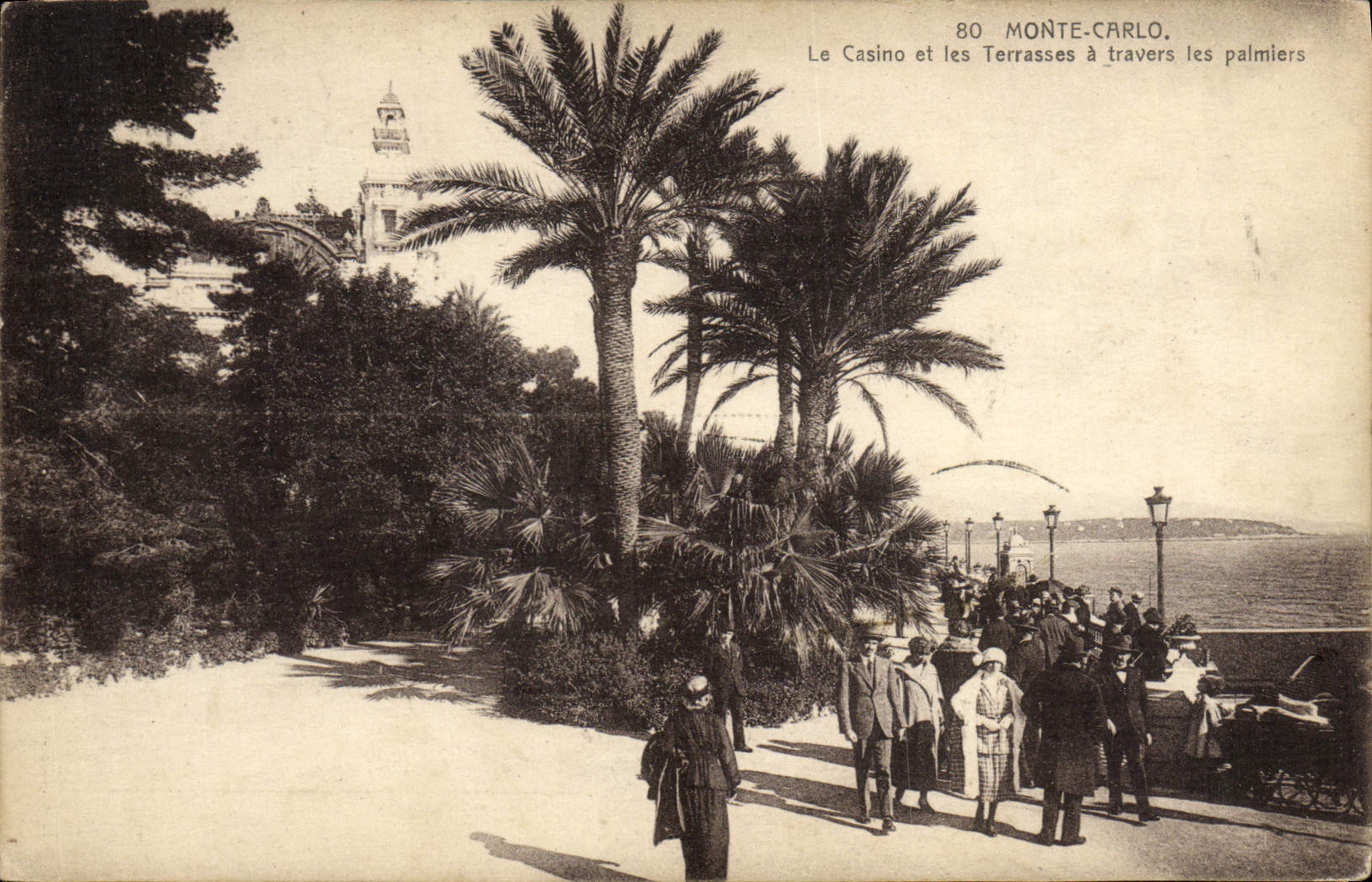 CPA Monte Carlo Le Casino et les Terrasses a travers les palmiers