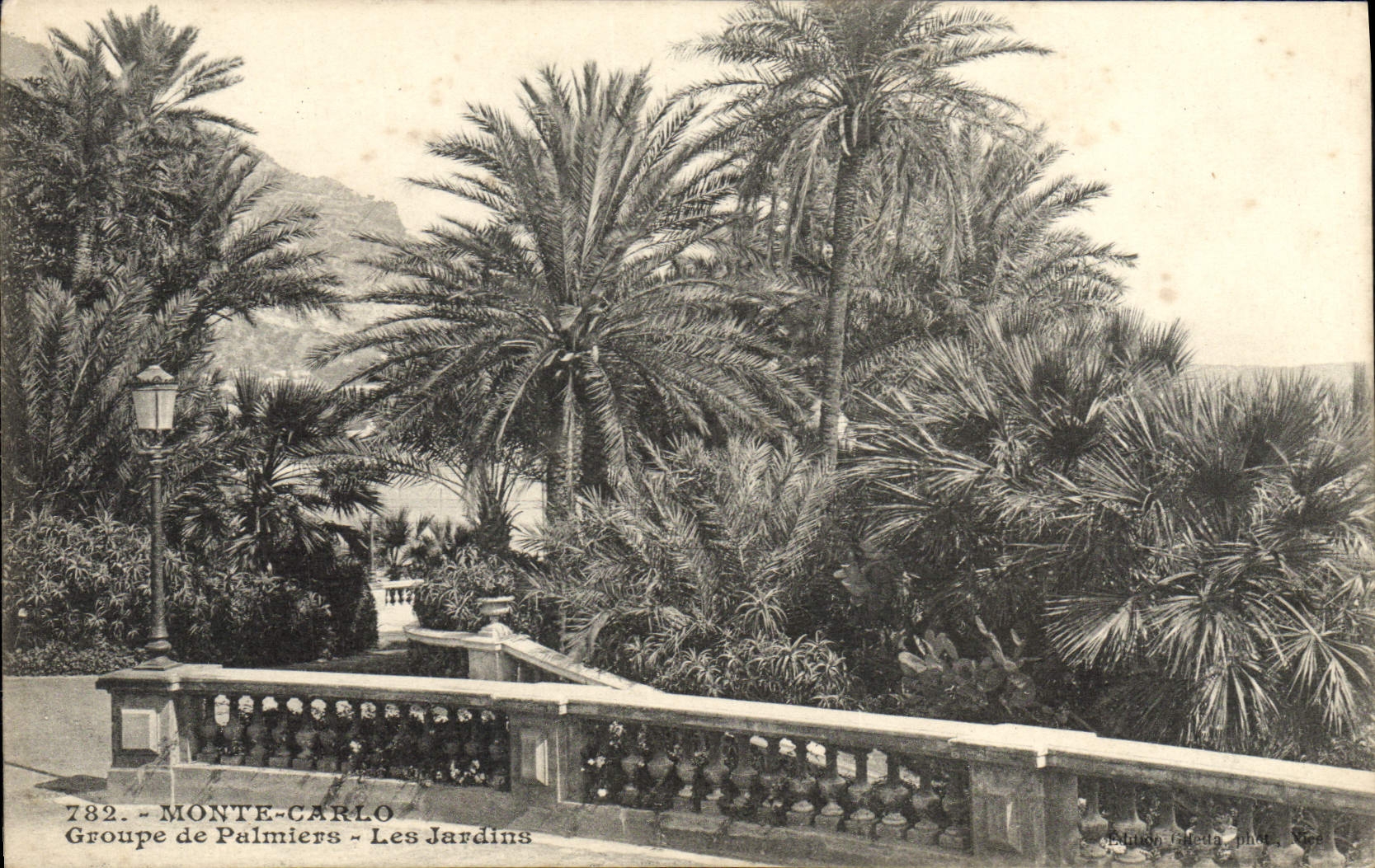 CPA Monte Carlo Groupe De Palmiers Les jardins