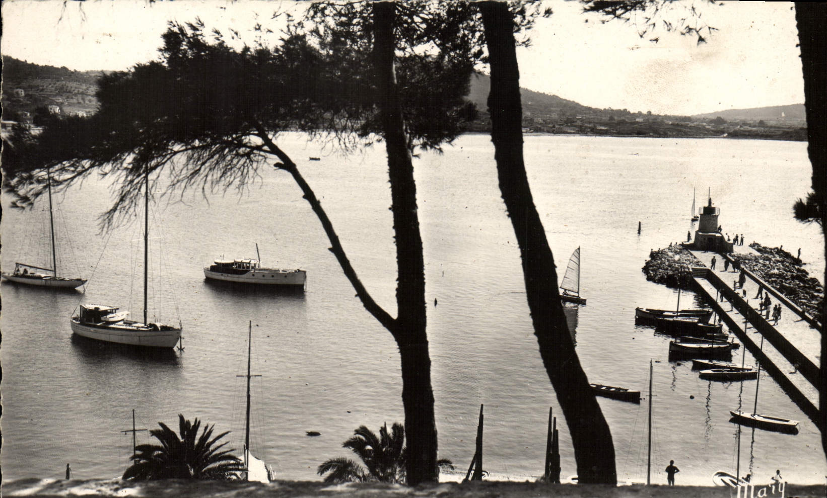 CPM Sanary Sur Mer La Jetee