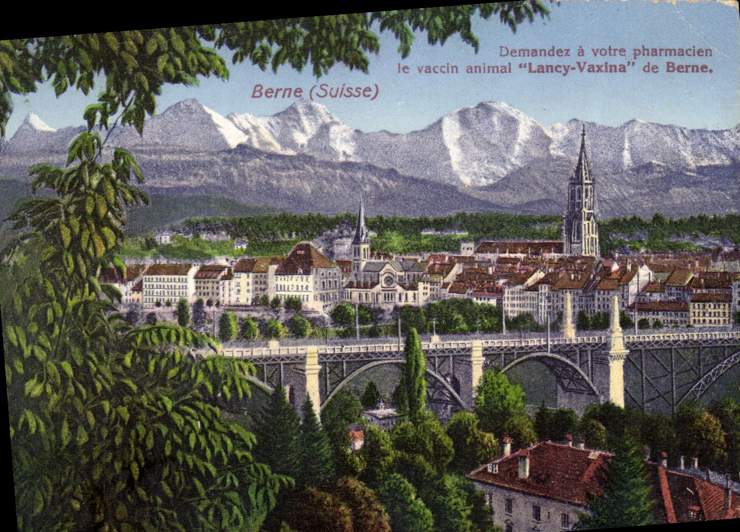 CPA Berne Publicite Institut Vaccinal suisse Berne